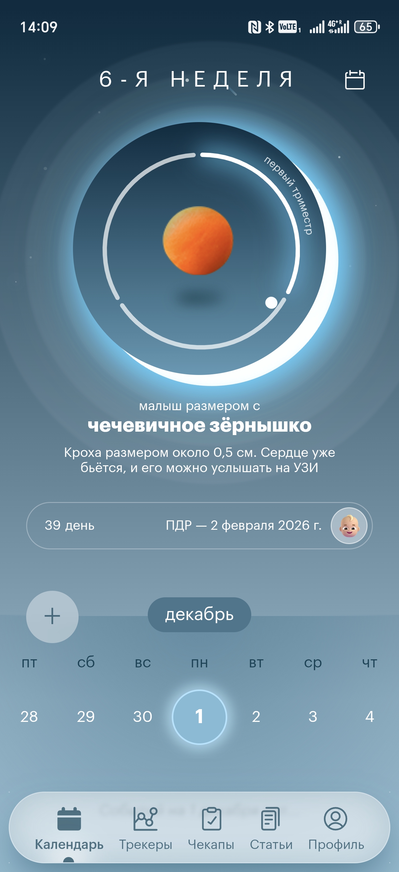 Скриншот календаря в Olisora